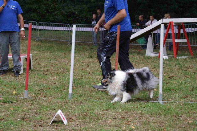 foire-haricots 2011-09-17et18